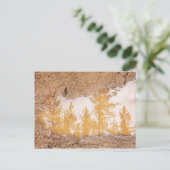 Carte Postale Arbres réfléchissant dans l'eau de la boue de plui (Debout devant)