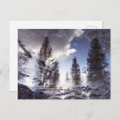 Carte Postale Arbres réfléchissant dans l'eau de la flaque de pl (Devant / Derrière)