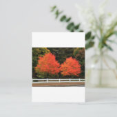 Carte postale Arbres rouges (Debout devant)