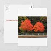 Carte postale Arbres rouges (Devant / Derrière)