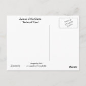 Carte Postale Arbres séquoias géants (Dos)