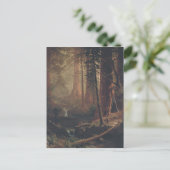 Carte Postale Arbres séquoias géants de Californie (Debout devant)