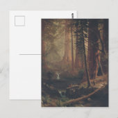 Carte Postale Arbres séquoias géants de Californie (Devant / Derrière)