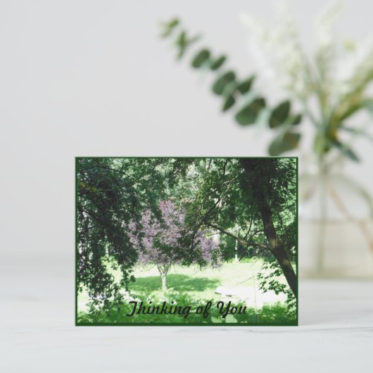 Carte Postale Arbres Solaires Lumineux Penser À Vous (Debout devant)