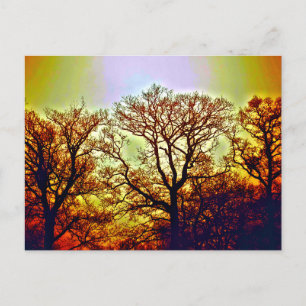 CARTE POSTALE ARBRES SOUS LE SOLEIL BRUMEUX