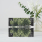 Carte Postale Arbres verts (Debout devant)