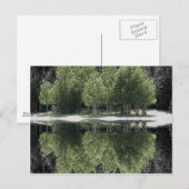 Carte Postale Arbres verts (Devant / Derrière)