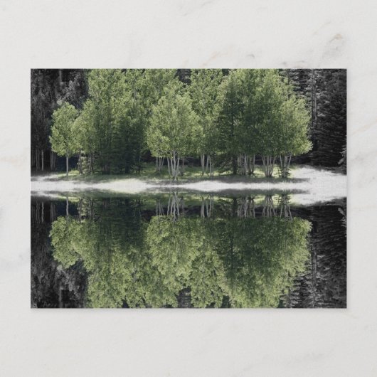 Carte Postale Arbres verts (Devant)