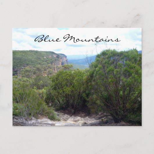 Carte Postale arbustes de montagnes bleues (Devant)
