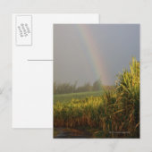 Carte Postale Arc arc-en-ciel (Devant / Derrière)