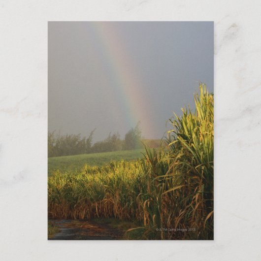 Carte Postale Arc arc-en-ciel (Devant)