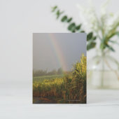Carte Postale Arc arc-en-ciel (Debout devant)