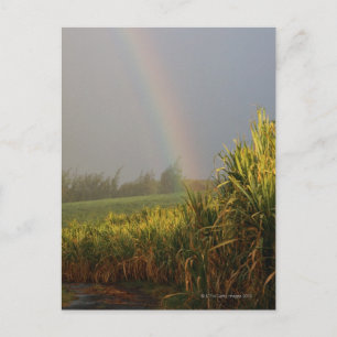 Carte Postale Arc arc-en-ciel