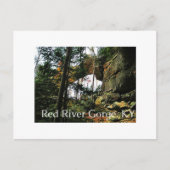 Carte Postale Arc de Grey, KY (Devant)