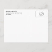 Carte Postale Arc de l'île d'Anacapa, Parc national des îles Ang (Dos)