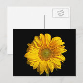 Carte Postale Arc de tournesol pc4 (Devant / Derrière)