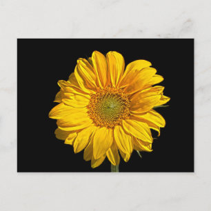 Carte Postale Arc de tournesol pc4