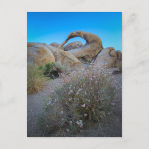 Carte Postale Arc des collines de l'Alabama