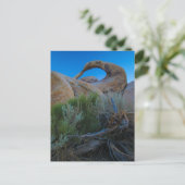 Carte Postale Arc des collines de l'Alabama (Debout devant)