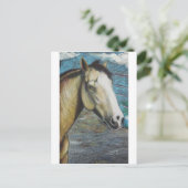 Carte Postale Arc-en-ciel (Debout devant)