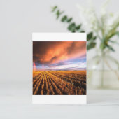 Carte Postale Arc-en-ciel Champ de bouchon Saskatchewan Canada (Debout devant)