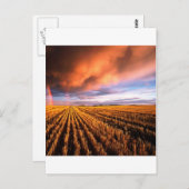 Carte Postale Arc-en-ciel Champ de bouchon Saskatchewan Canada (Devant / Derrière)