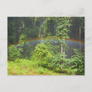 Carte Postale Arc-en-ciel dans la forêt