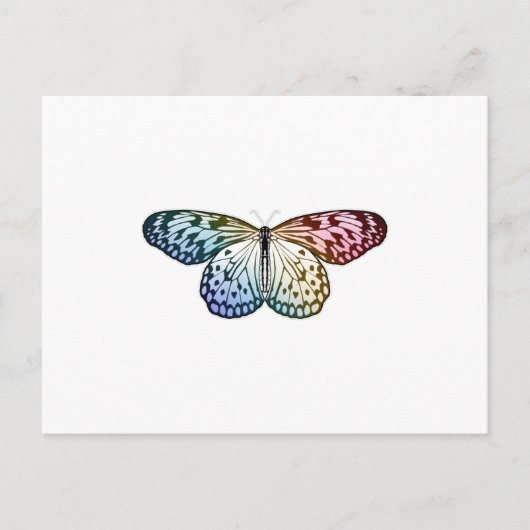 Carte Postale Arc-en-ciel de papillon (Devant)
