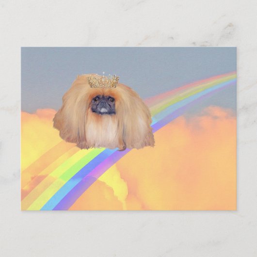 Carte Postale Arc en ciel de Pekingese (Devant)