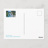 Carte Postale Arc-en-ciel entre les palmiers / Sainte-Lucie (Dos)