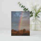 Carte postale Arc-en-ciel et oies (Debout devant)