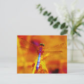 Carte Postale Arc-en-ciel libellule sur ambre et fuschie (Debout devant)