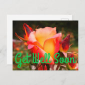 Carte postale Arc-en-ciel Sorbet Rose #1 Guérissez (Devant / Derrière)