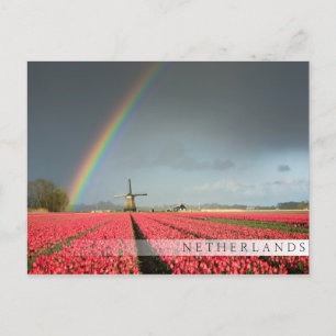 Carte postale arc-en-ciel, tulipes et bar du mouli