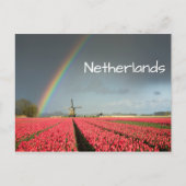 Carte postale arc-en-ciel, tulipes et moulin à ven (Devant)