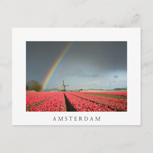 Carte Postale Arc-en-ciel, tulipes et moulin à vent Amsterdam ca (Devant)