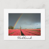 Carte Postale Arc-en-ciel, tulipes et moulin à vent en Hollande  (Devant)