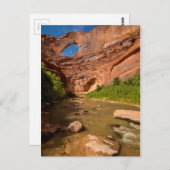 Carte Postale Arc Stevens - Escalante River - Utah (Devant / Derrière)