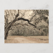 Carte postale Arch of Oakes (Devant)