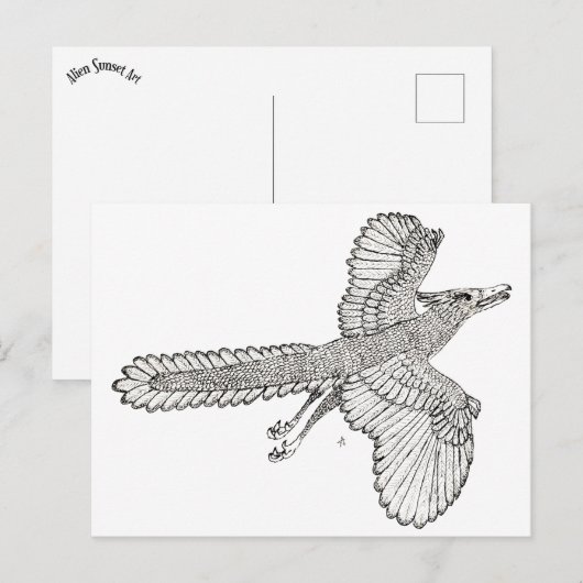 Carte Postale Archaeopteryx (Devant / Derrière)