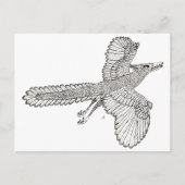 Carte Postale Archaeopteryx (Devant)