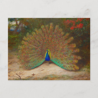 Carte Postale Archibald Thorburn Peacock