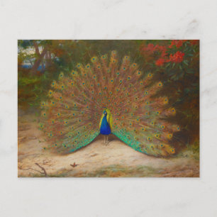 Carte Postale Archibald Thorburn Peacock Fine Art