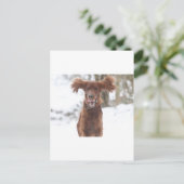 Carte Postale Archie II (Debout devant)