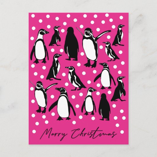 Carte Postale Arctic Animals collection- Pingouins (Devant)