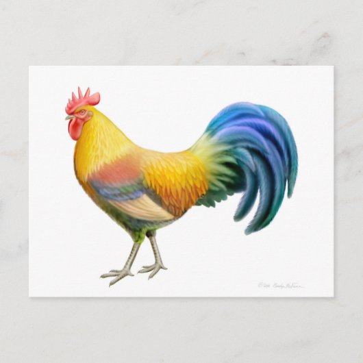 Carte postale Ardenner Rooster (Devant)