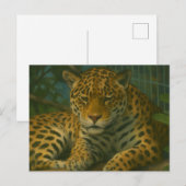 Carte Postale Ardoise dorée - Leopard reposant en feuillage (Devant / Derrière)