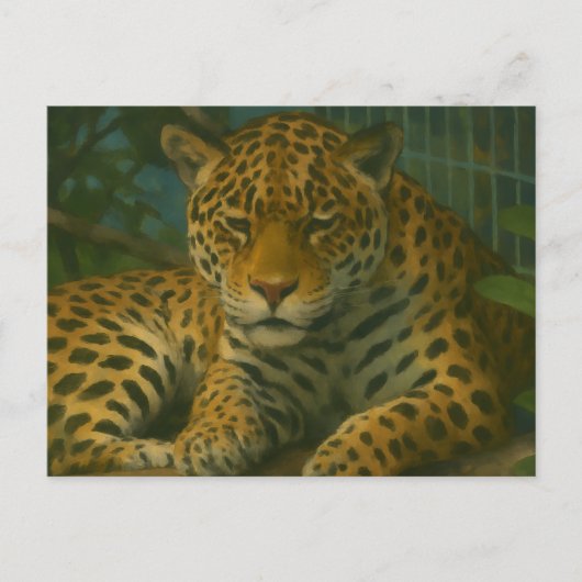 Carte Postale Ardoise dorée - Leopard reposant en feuillage (Devant)