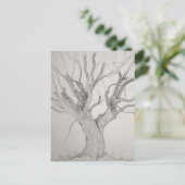 Carte postale Argent Maple (Debout devant)