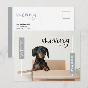 Carte Postale Argent Nous sommes Déplacer Dachshund Chien dans l